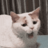 ��Ϊ��Ե��  