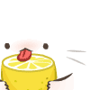 ynine  
